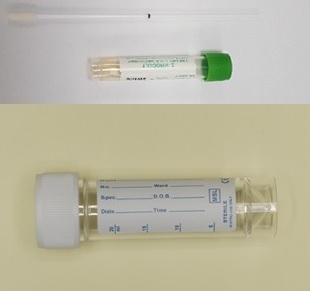 Covid-19 (Coronavirus-19): Urgent and routine testing