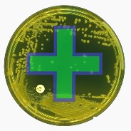 Add on tests Microbiology