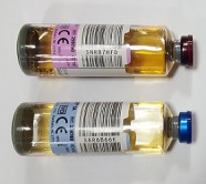 Blood Cultures