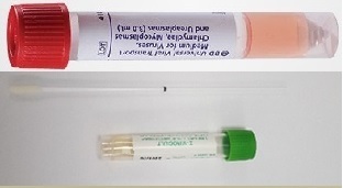 BioFire Filmarray Respiratory Panel