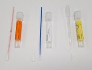 Chlamydia trachomatis NAAT