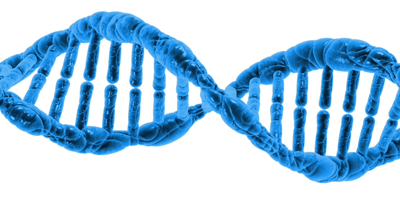 Molecular Pathology
