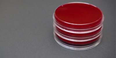 Microbiology